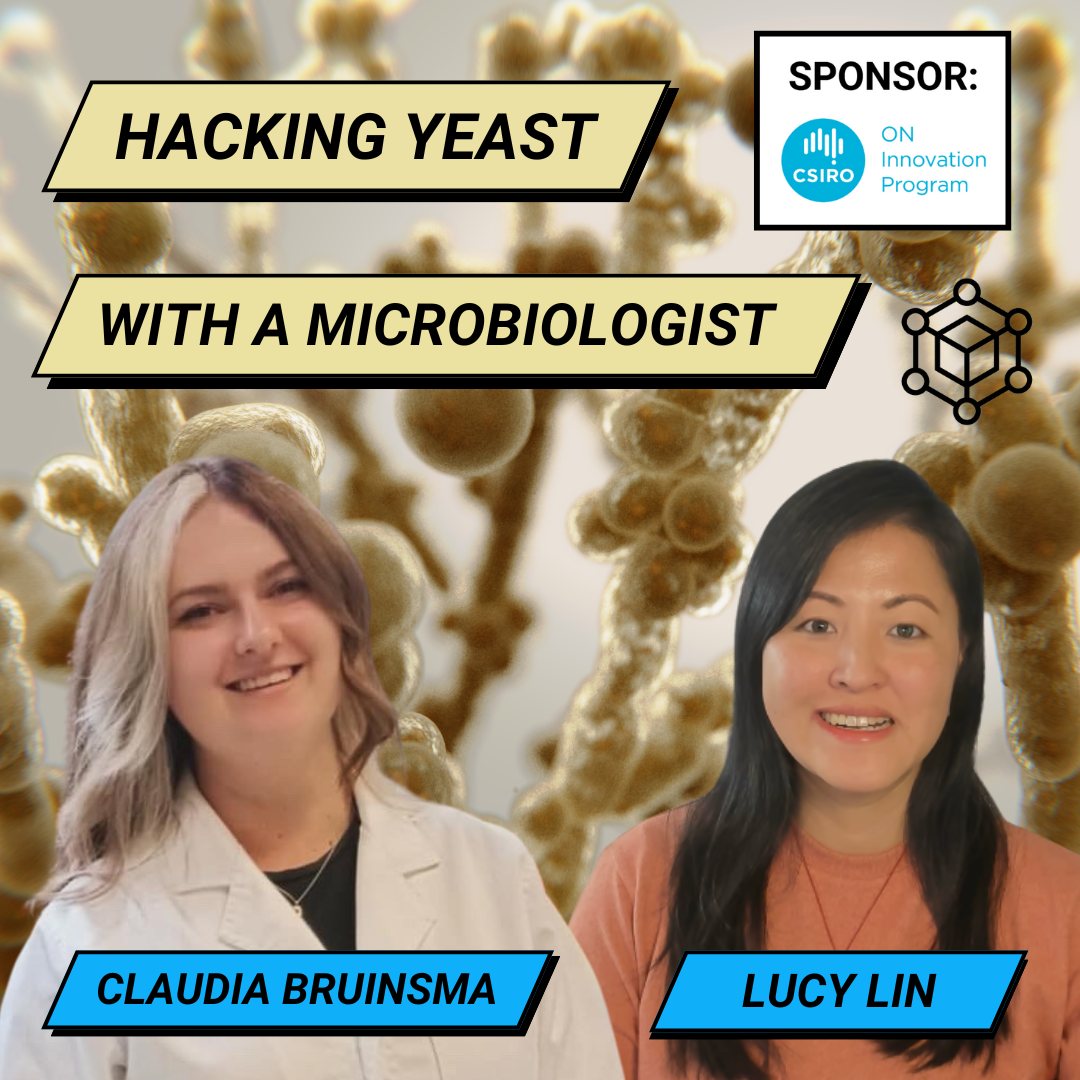 Podcast: Hacking Yeast